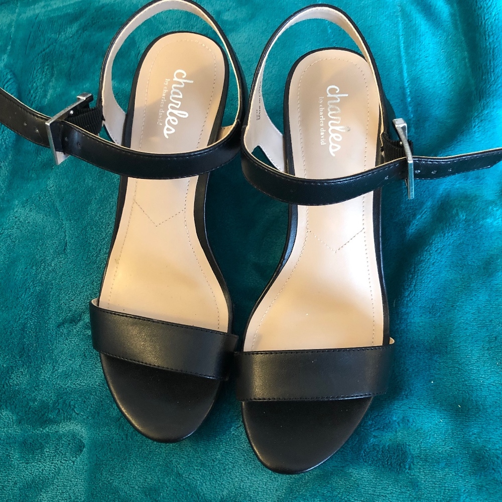 Charles By Charles & David Platform Wedges - image 1